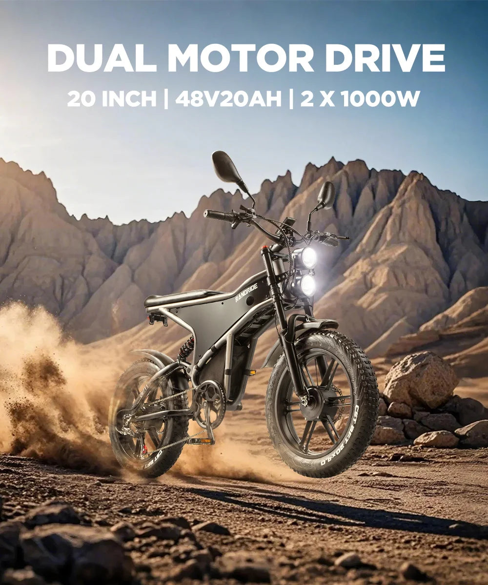 Elektrische fiets met dubbele motor 2×1000W en uitneembare accu