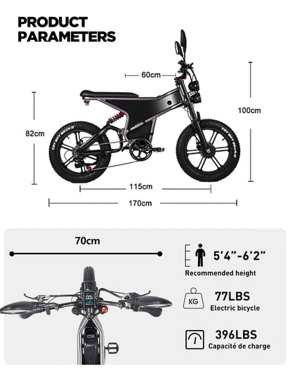 Elektrische fiets met dubbele motor 2×1000W en uitneembare accu