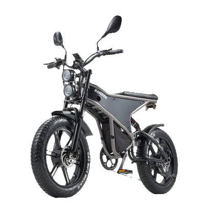 Elektrische fiets met dubbele motor 2×1000W en uitneembare accu